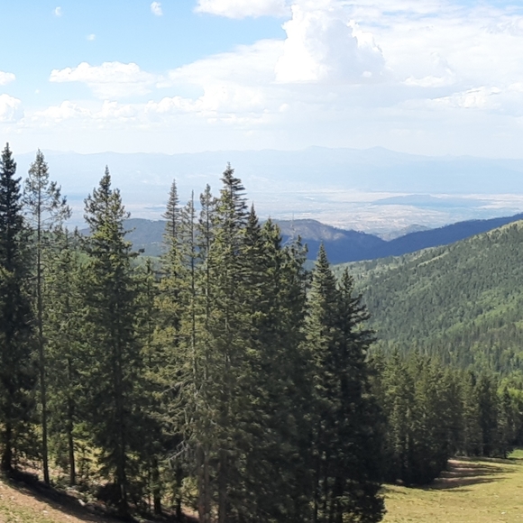 Meet your Posher, Matthew - Picture 7 of 7